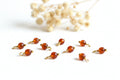 Pendente Cornalina