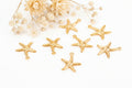 Pendente - Estrela Mar